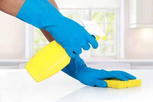 Carpet cleaner preparing equipment with safety precautions