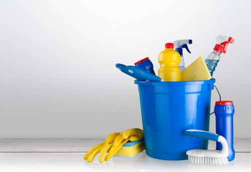 Cleaning products and protective gloves arranged safely