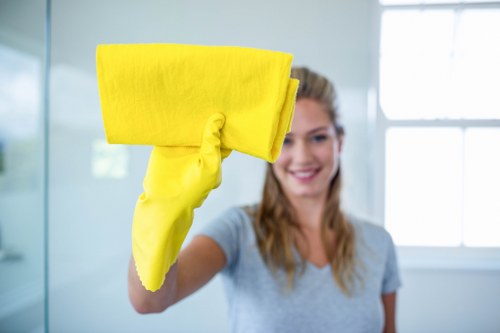 Professional carpet cleaning process for different carpet fibers in Friern Barnet