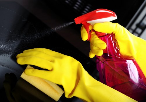Enzyme cleaning for stubborn pet urine stains and smells