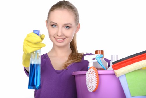 Illustration for managing cookie choices on the Friern Barnet Carpet Cleaners site